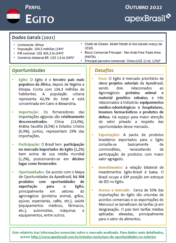 PERFIL EGITO - 2022