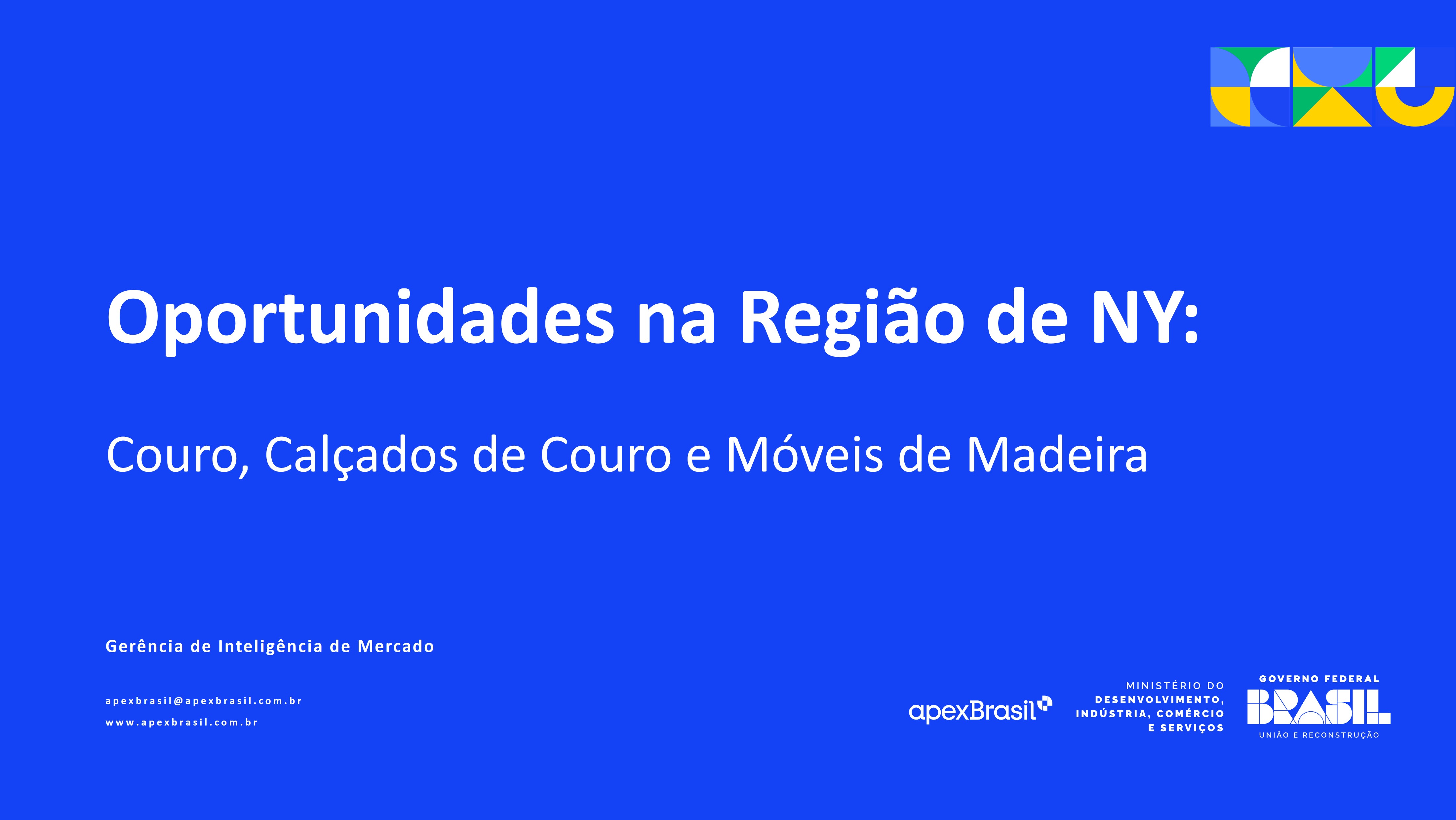 OPORTUNIDADES NA REGIÃO DE NOVA YORK - APRESENTAÇÃO INTELIGÊNCIA